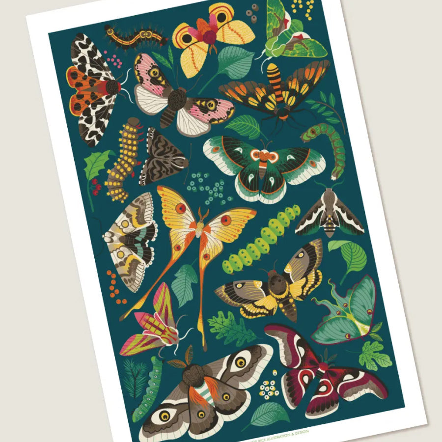 Moths!