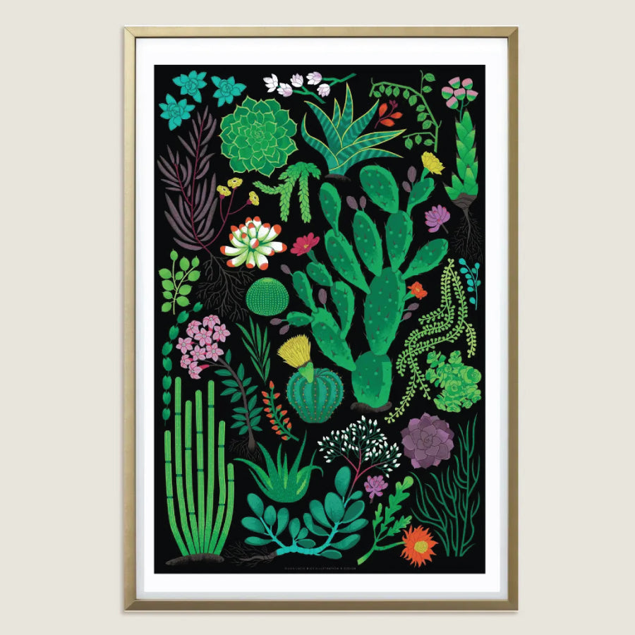 Succulents