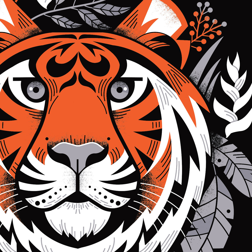 Bengal Tiger Face