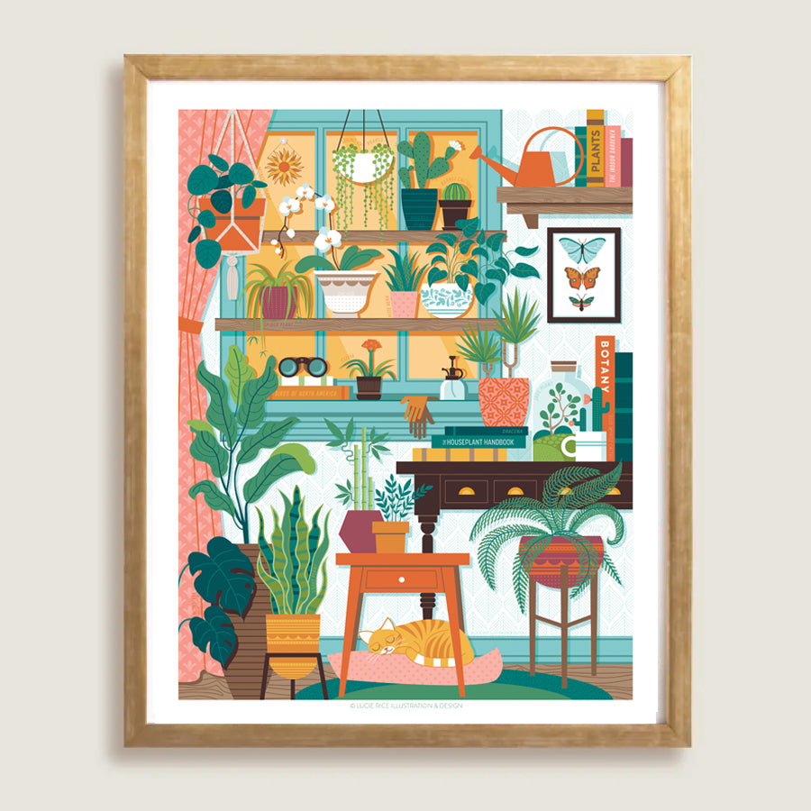 Houseplants